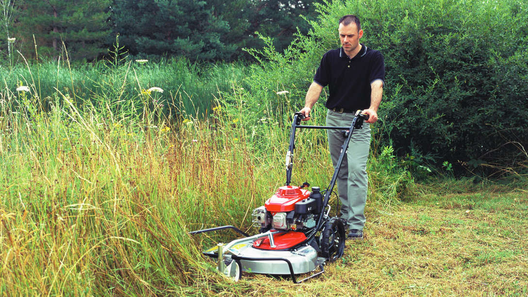 Grasschneider in Frontansicht, Verwendung nach Modell. Gartenumgebung.