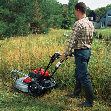 Grasschneider in Heckansicht, Verwendung nach Modell. Gartenumgebung.