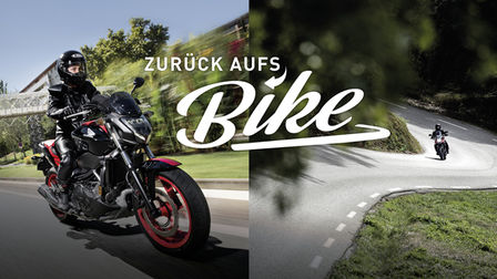 Zurück aufs Bike