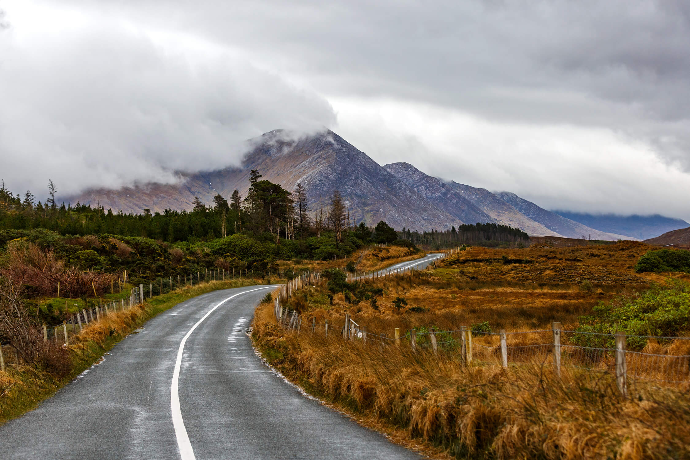 Gewundene Straße am Wild Atlantic Way Irlands