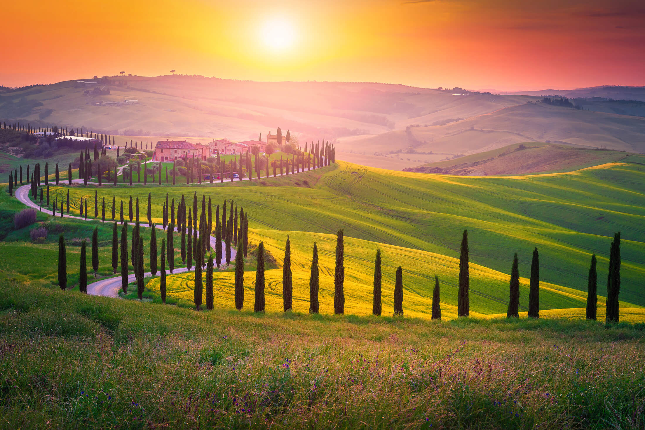 Sonnenuntergang in der italienischen Toskana mit von Zypressen gesäumter Straße