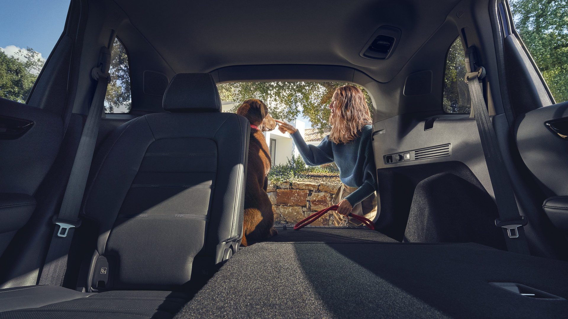 Honda CR-V Hybrid, Heck mit umgeklappten Rücksitzen und einem Hund im Kofferraum.