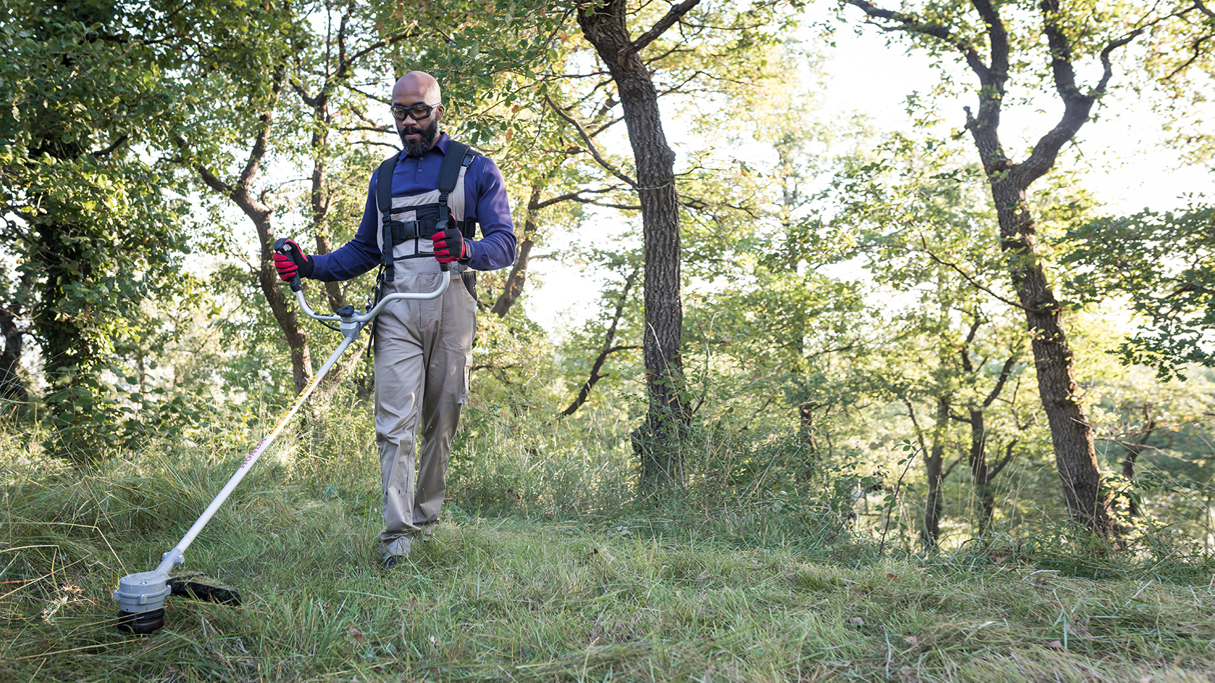 Close up of model trimming a field with Honda cordless brushcutter.