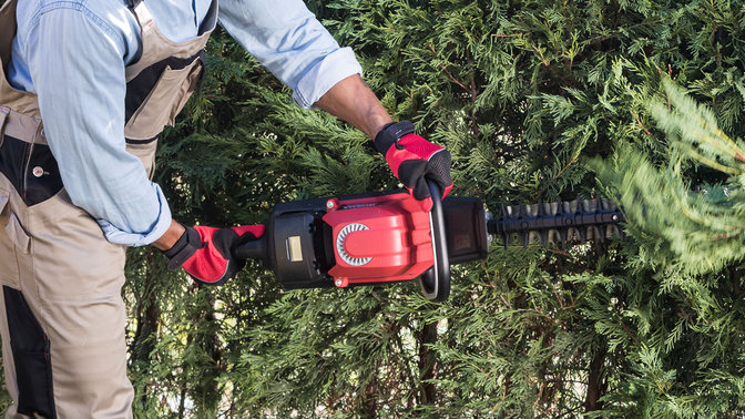 Close up of model trimming a hedge with Honda cordless leaf blower.