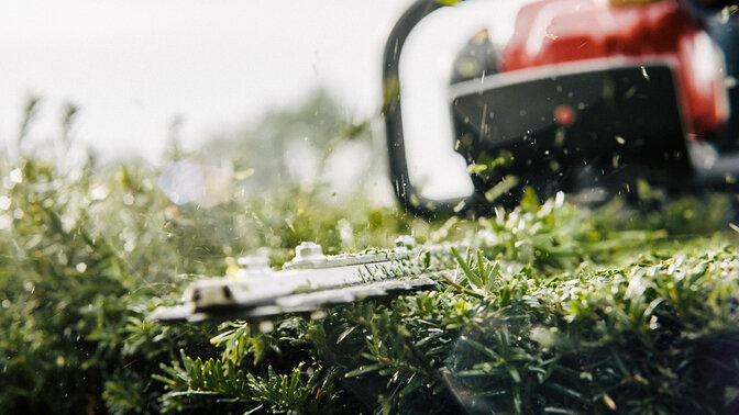 Heckenschere im Einsatz, Nahaufnahme