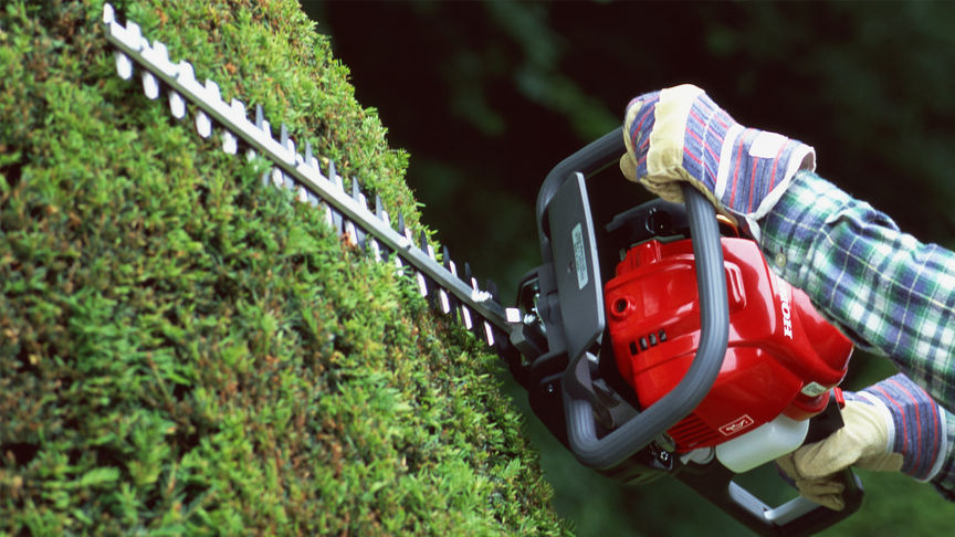 Honda Heckenscheren, Nahaufnahme im Einsatz, Gartenumgebung.