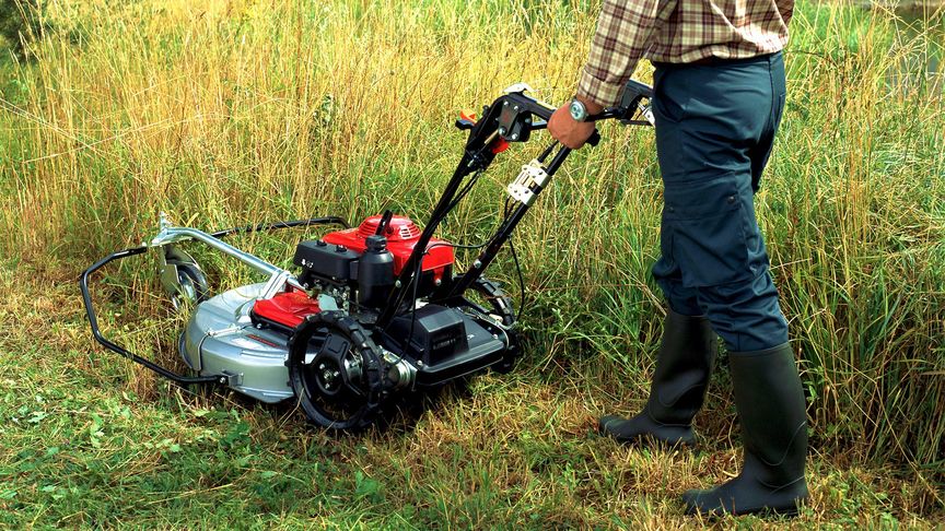 Nahaufnahme: Honda Wiesenmäher auf Rasen