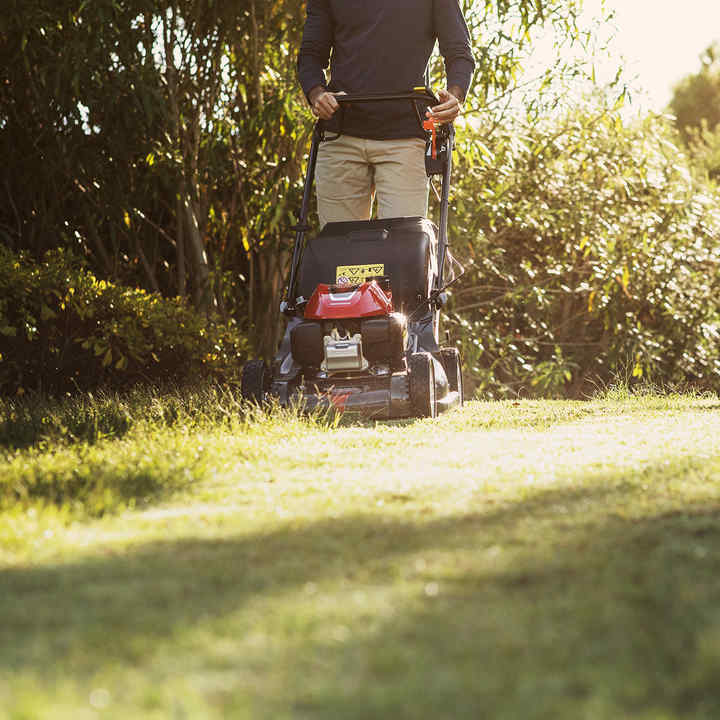 25+ schön Fotos Honda Garten / Honda Erleben Garten Honda