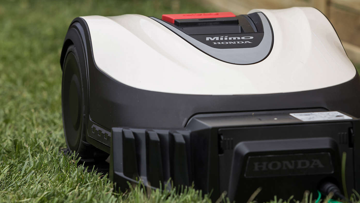 Frontansicht des Honda Miimo in einem Garten.