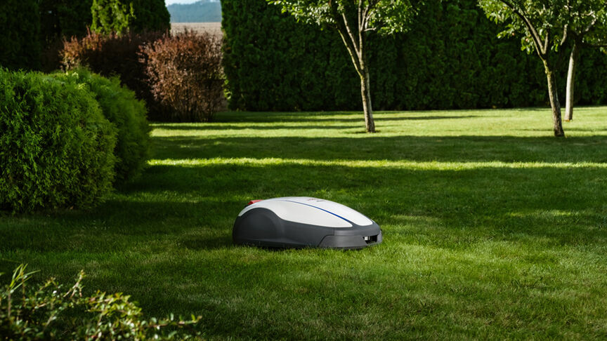 Person, die eine App auf dem Smartphone betrachtet