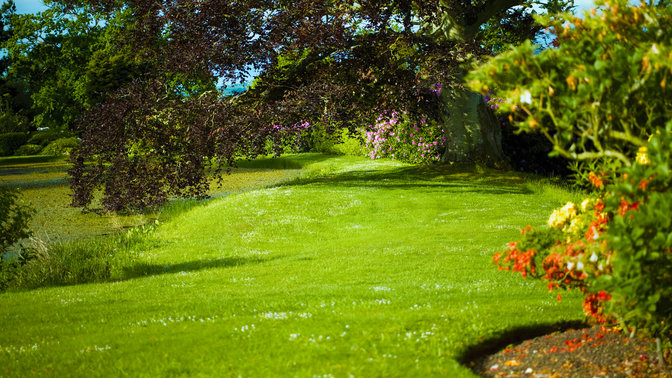 Gartenumgebung.