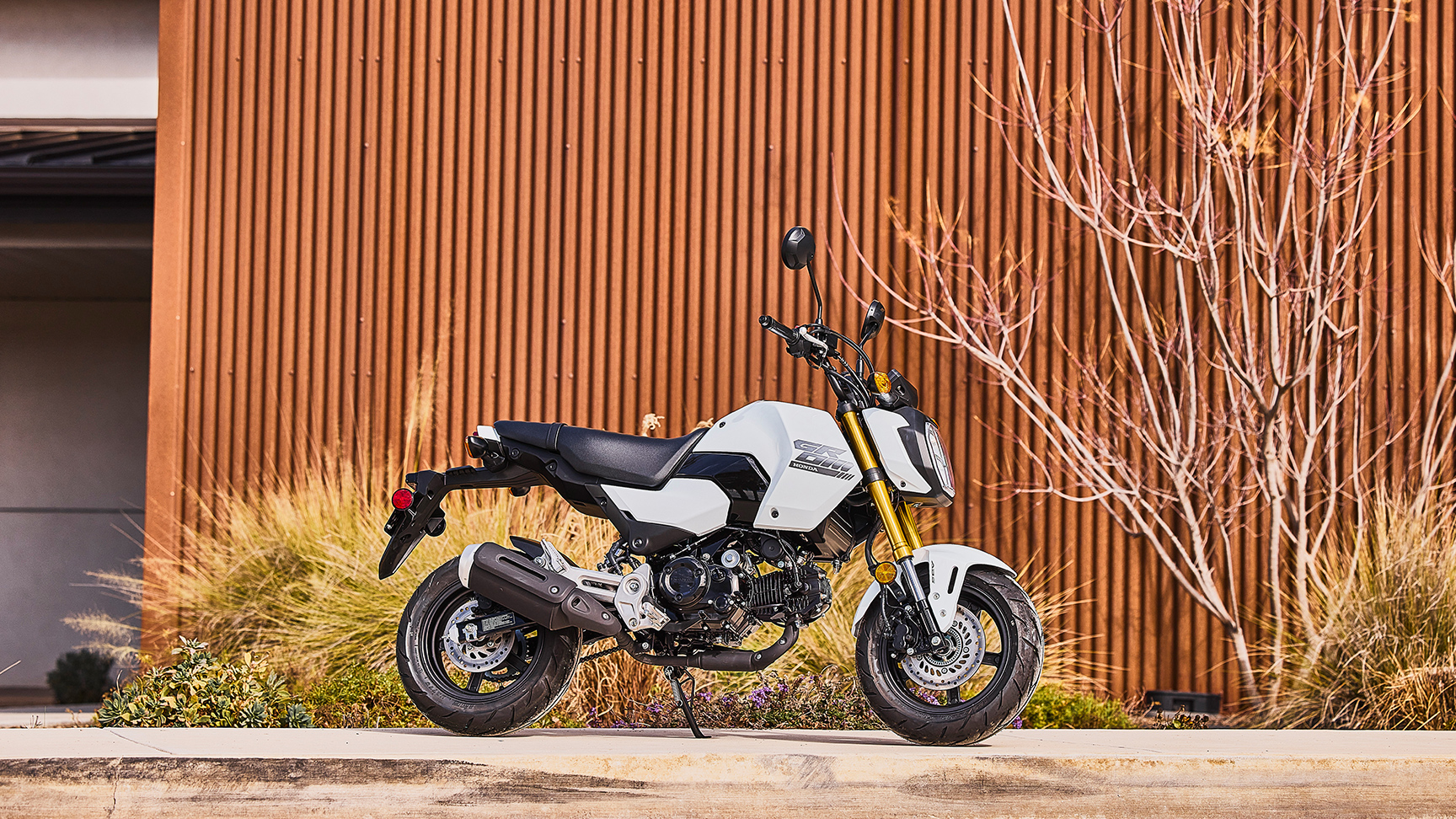 MSX125 Grom in Weiß, Seitenansicht im Stand