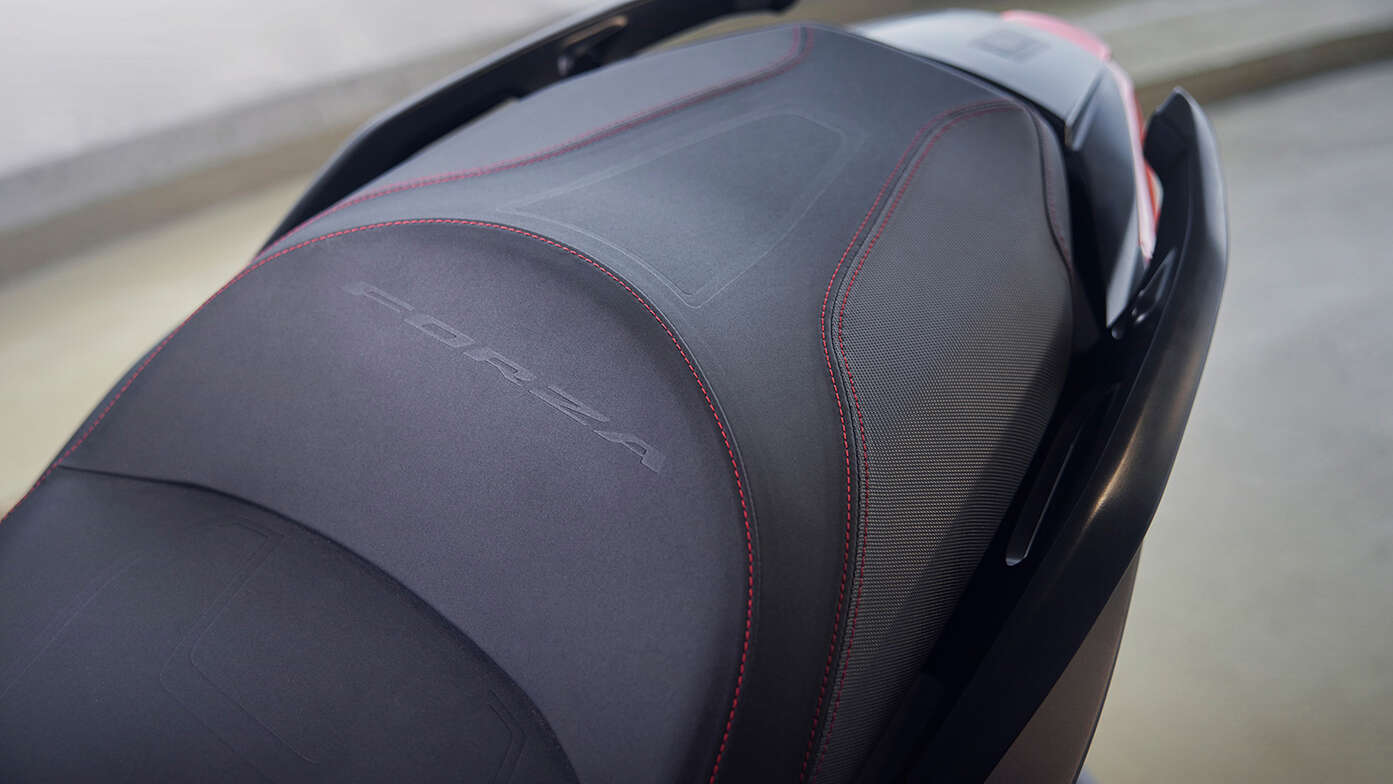 Special Edition Sitz