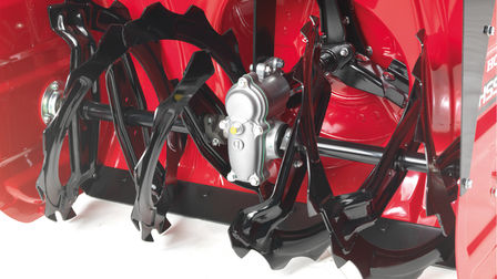 Nahaufnahme der Fr&auml;sschnecke.