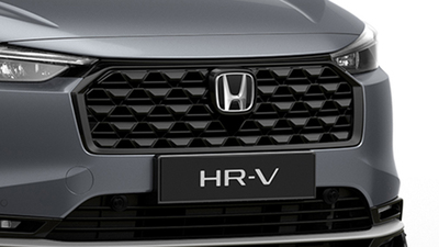 Frontgrill in schwarzem Mesh-Design