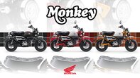 Frische Farbvarianten f&uuml;r Monkey 125 und ST125 Dax, Modelljahr 2026