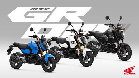 Neuer Look für den 2025er Jahrgang der Honda MSX125