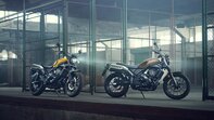 HONDA CL500, Modelljahrgang 2025