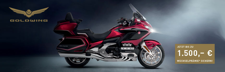 Aktionsangebot Gold Wing