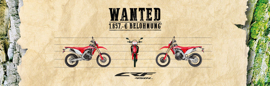 Wanted