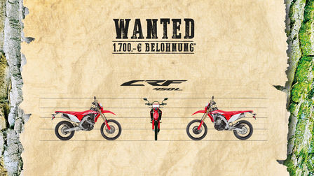 WANTED Honda CRF450L