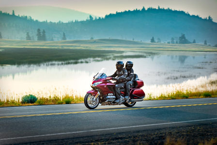 Gold Wing